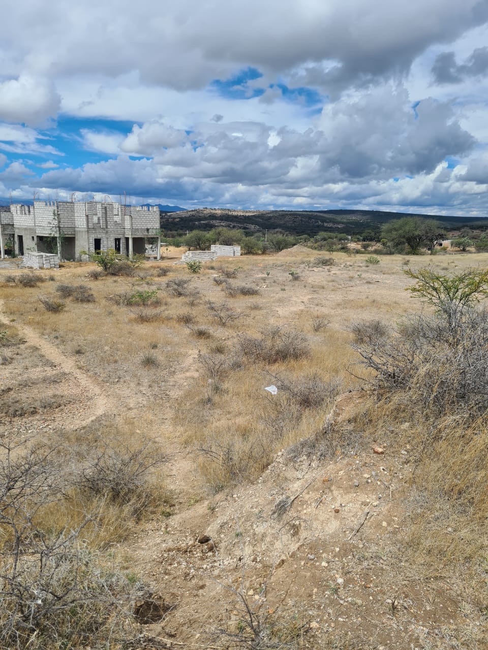 Lote 2