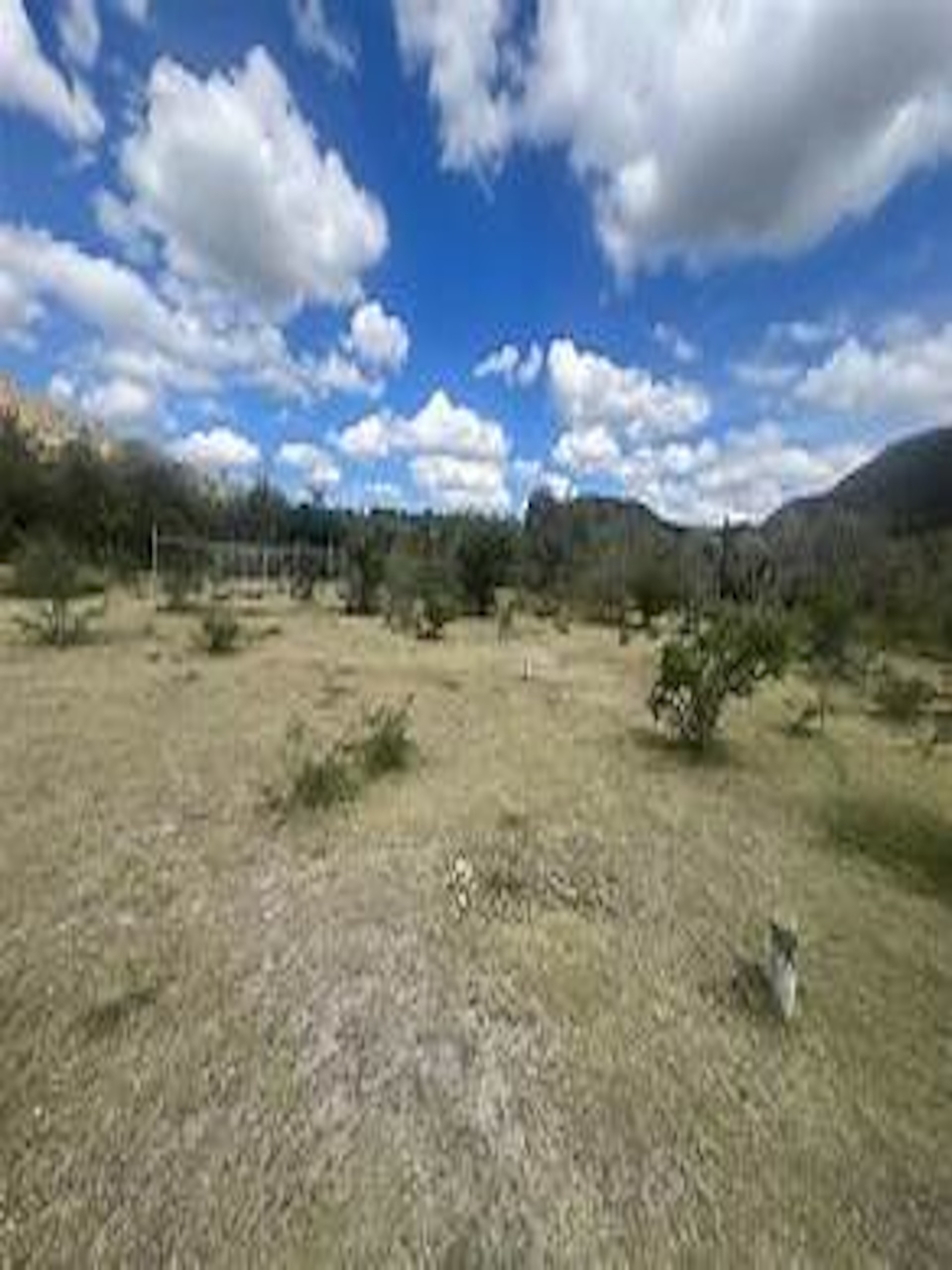 Lote 5