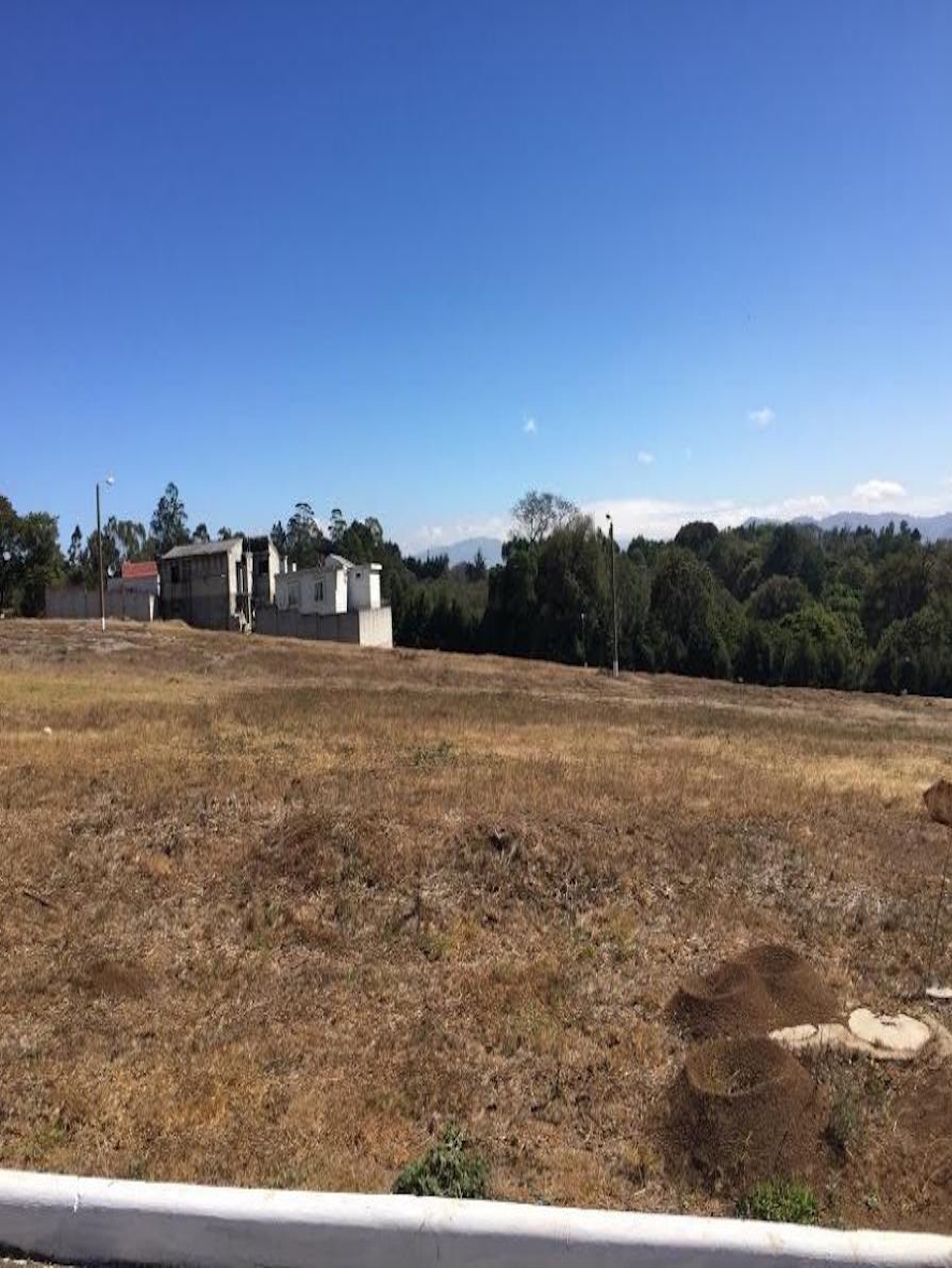 Lote 6
