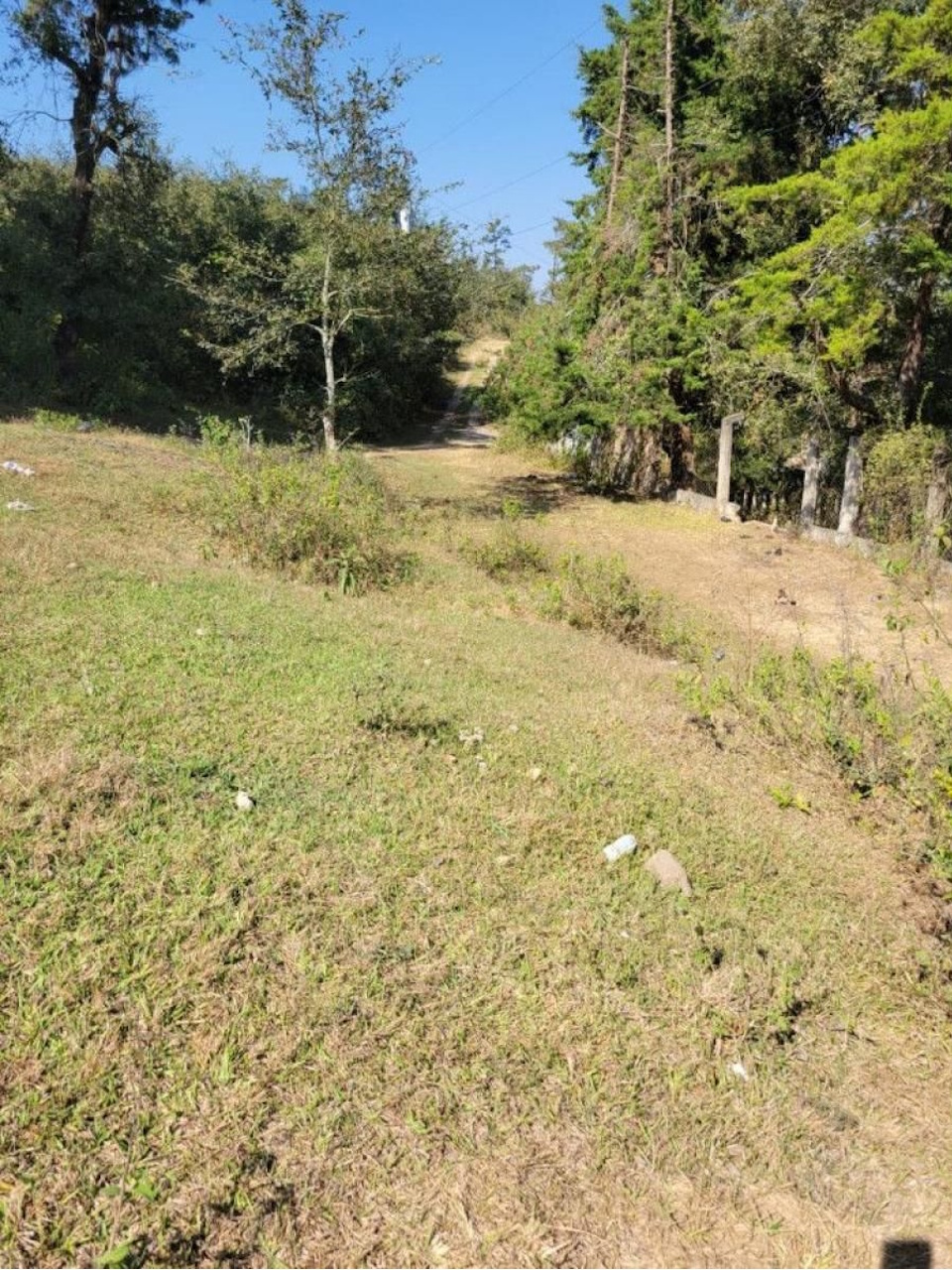 Lote 8